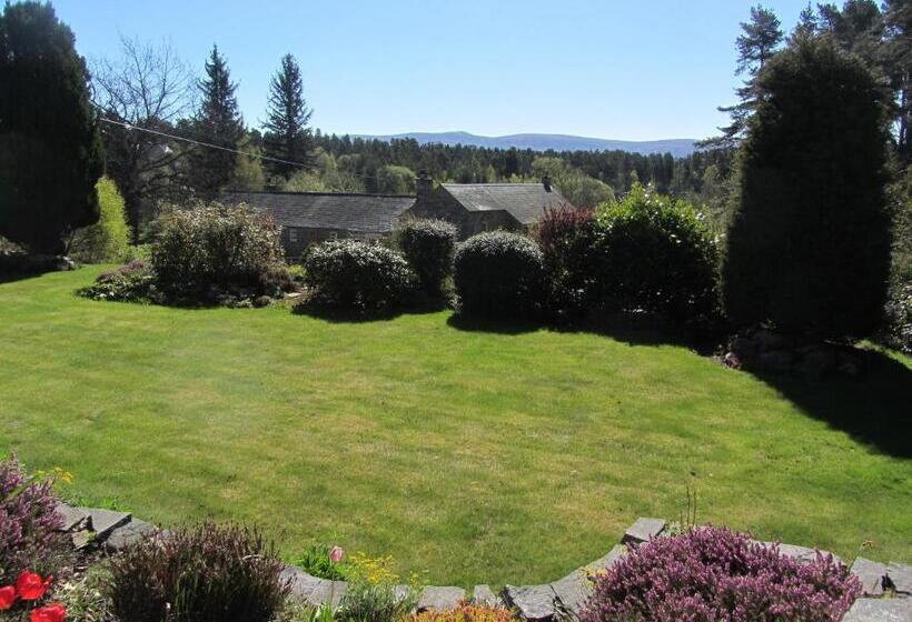 Отель Rossmor Bed & Breakfast