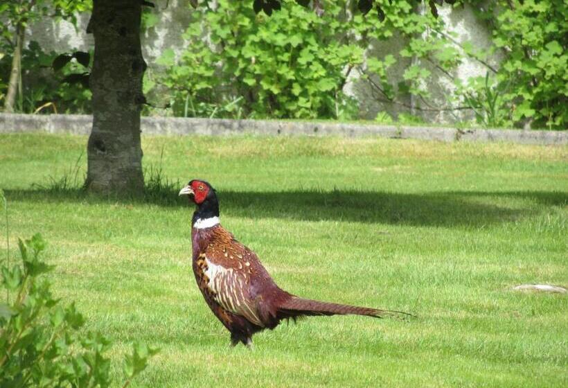 Отель Rossmor Bed & Breakfast