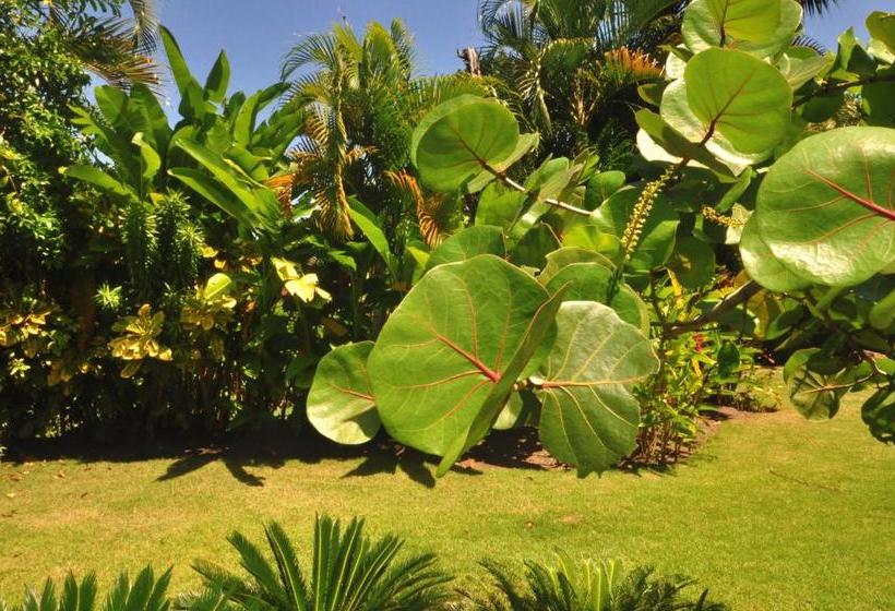 Отель Sea Horse Ranch