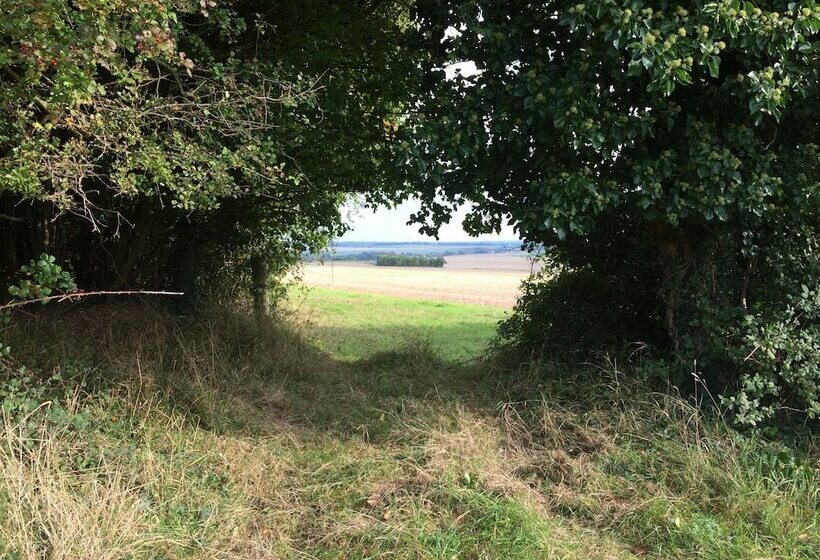 ホテル Shepherds Barn