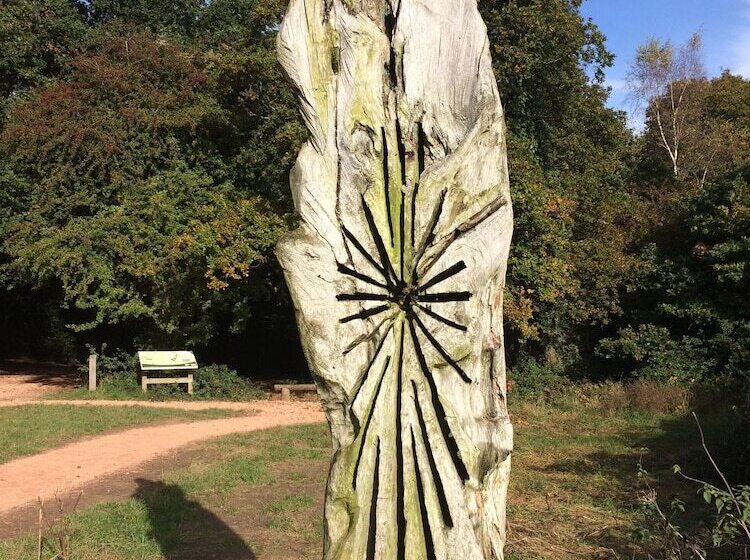 ホテル Shepherds Barn