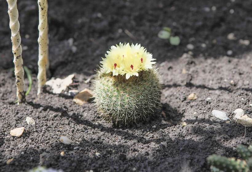 酒店 Smart People Eco