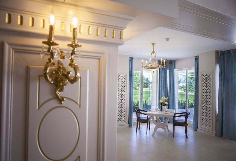 Отель Sulina International