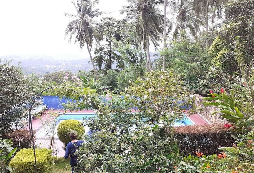 Отель The Change