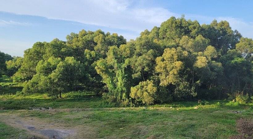 هتل The Empyrean Airport Transit