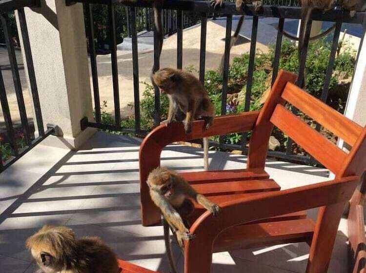 호텔 The Grand Hills