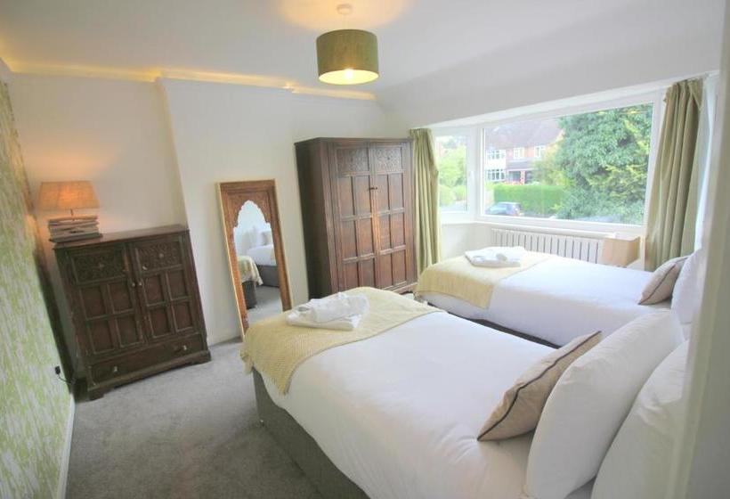 فندق The Never Land