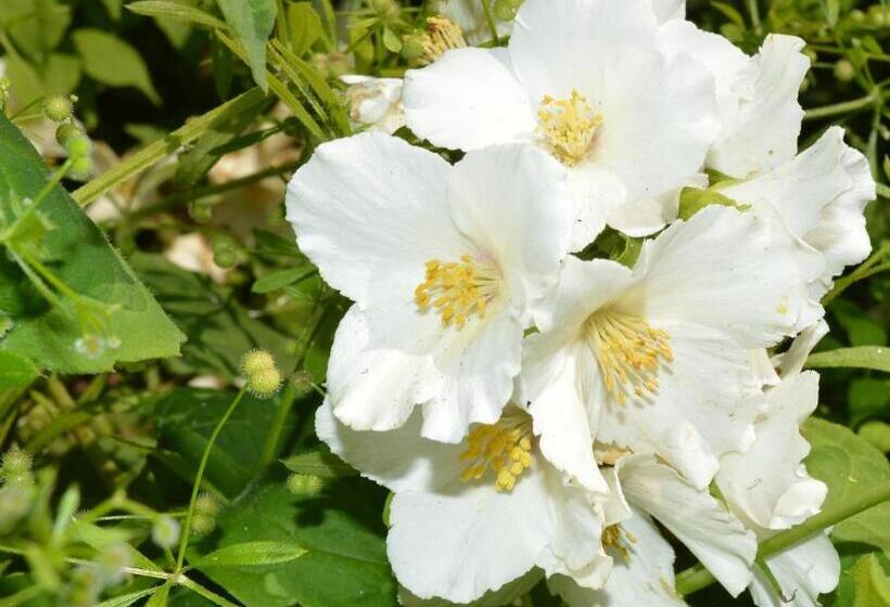 ホテル The Silverdale