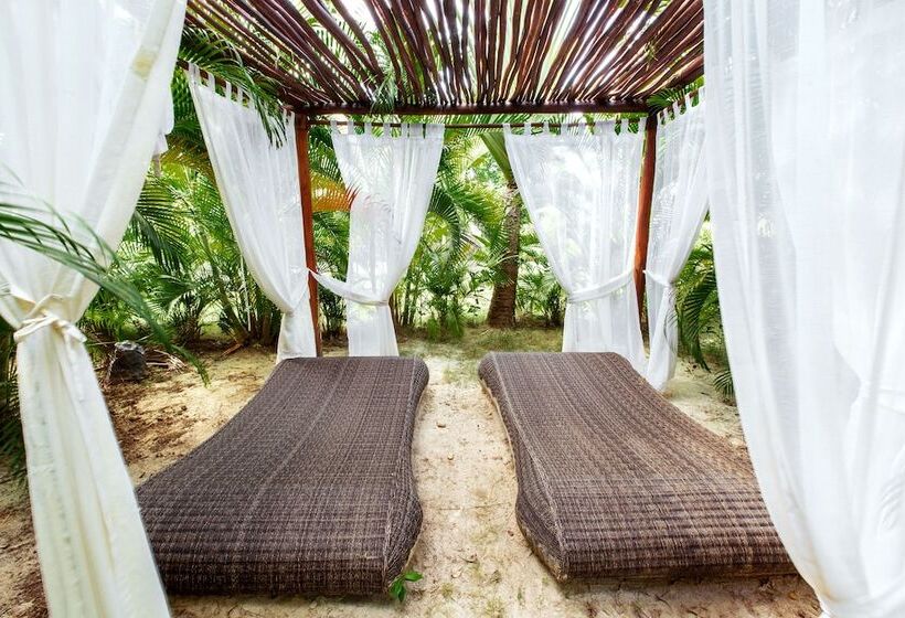 酒店 Tropicana Suites Deluxe Beach Club & Pool