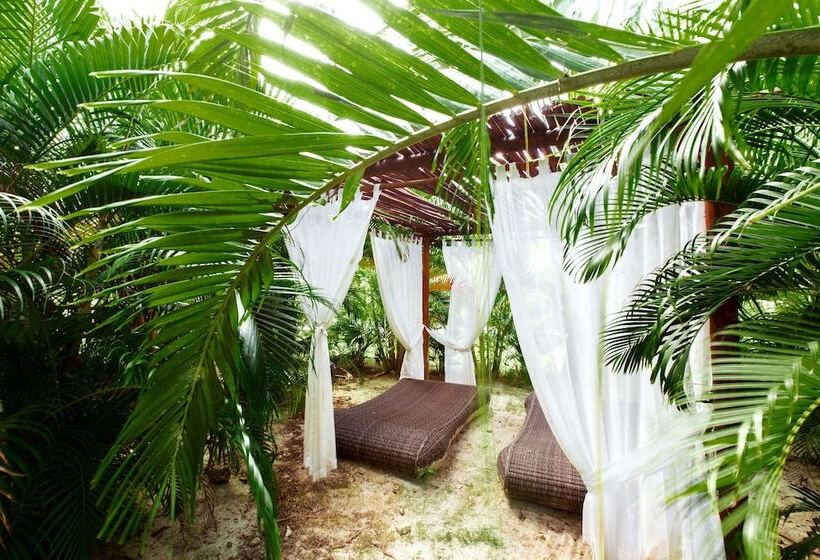 酒店 Tropicana Suites Deluxe Beach Club & Pool