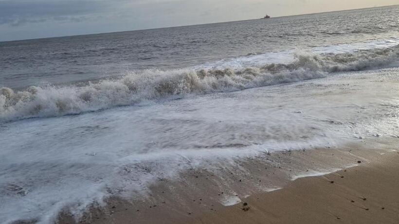 فندق Twin Palms Guesthouse