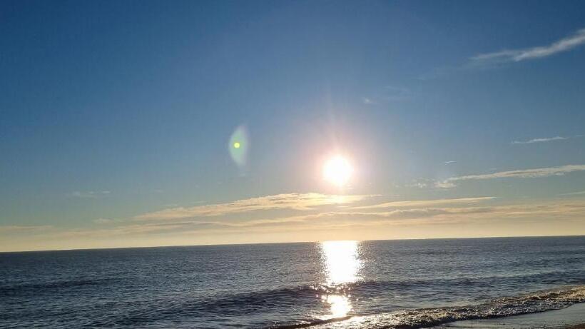 فندق Twin Palms Guesthouse