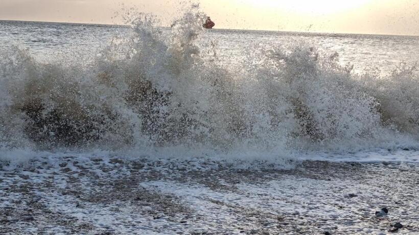 فندق Twin Palms Guesthouse