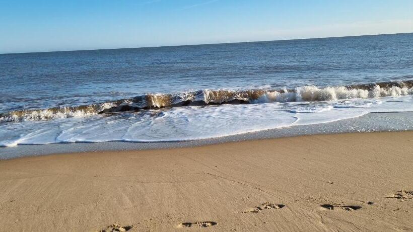 فندق Twin Palms Guesthouse