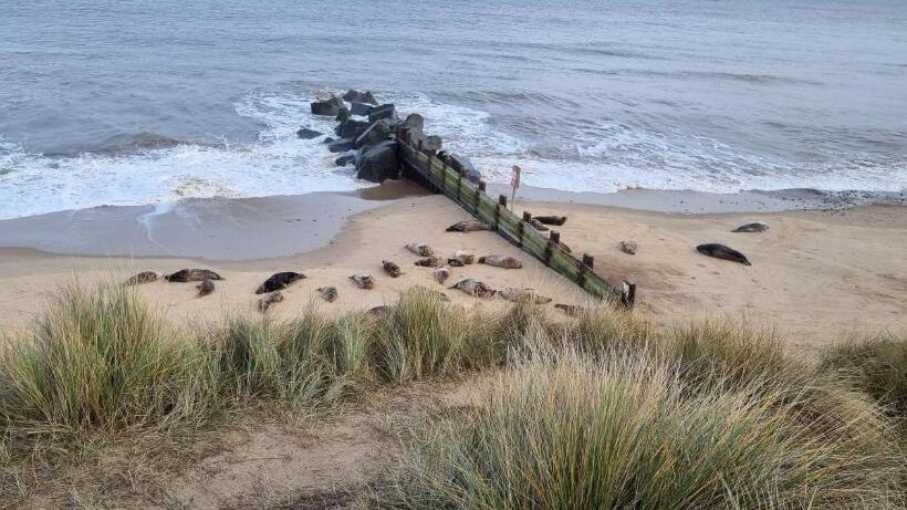 فندق Twin Palms Guesthouse