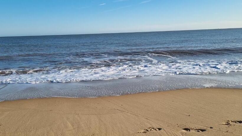 فندق Twin Palms Guesthouse