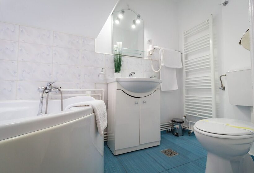 Отель Vila Mărioara