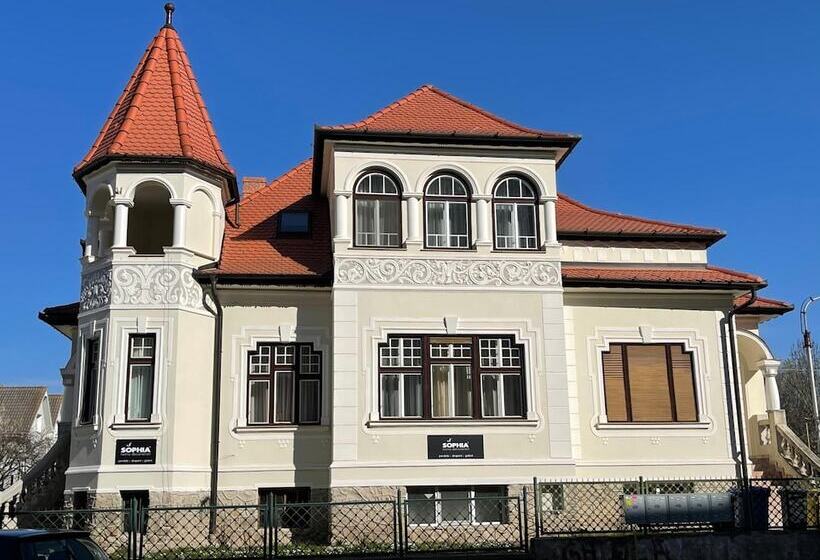 Отель Vila Mărioara