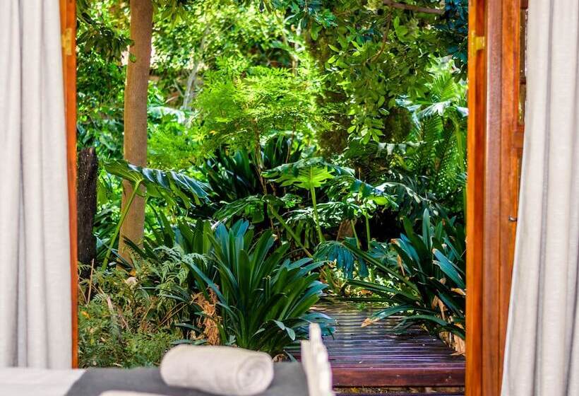 هتل 86 On Langenhoven B&b