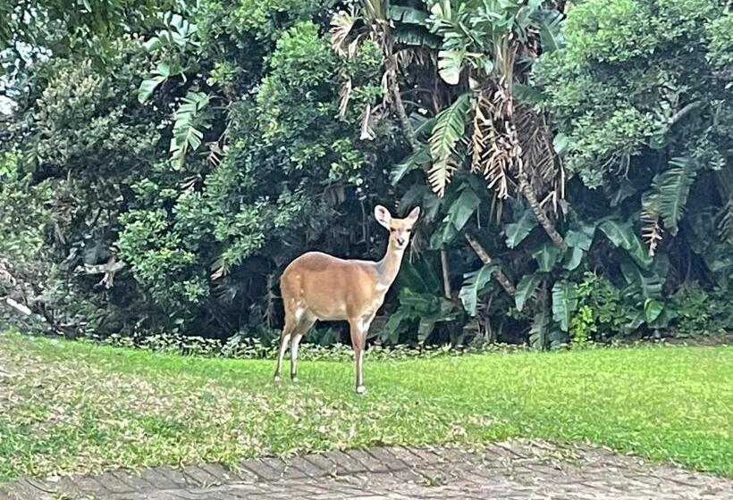 فندق Albatross Guesthouse