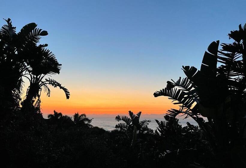 فندق Albatross Guesthouse