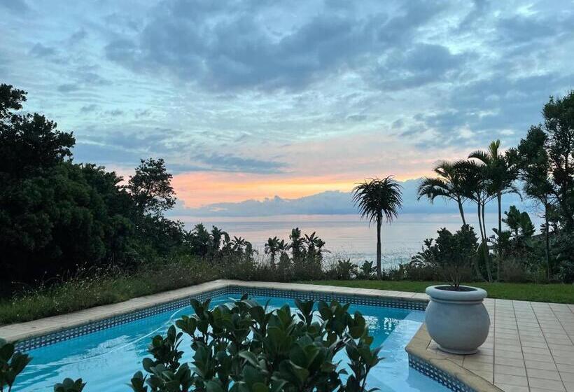 فندق Albatross Guesthouse