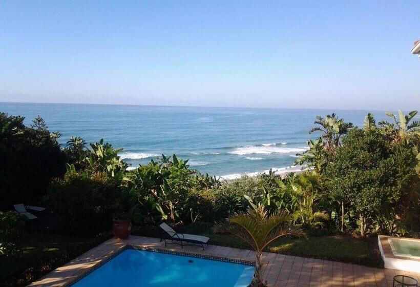 فندق Albatross Guesthouse