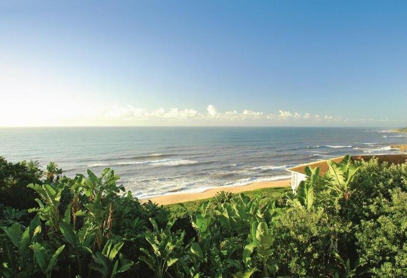 فندق Albatross Guesthouse