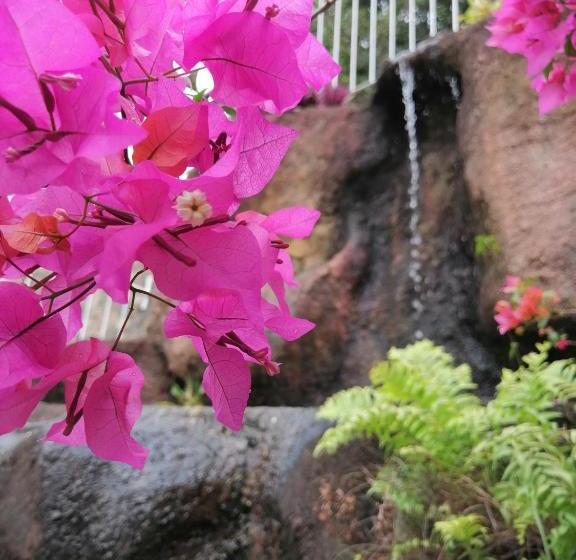 בית מלון כפרי Anna Shanthi Villa