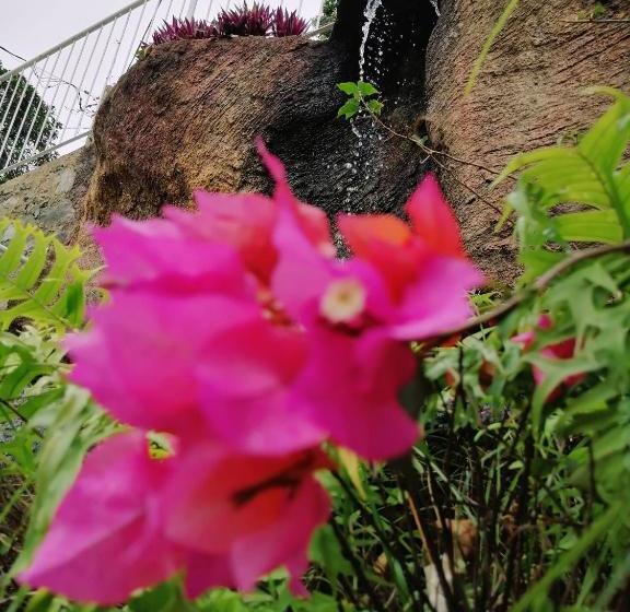 فندق Anna Shanthi Villa