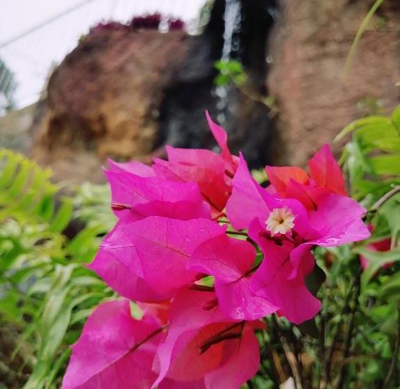 فندق Anna Shanthi Villa