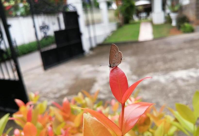 فندق Anna Shanthi Villa