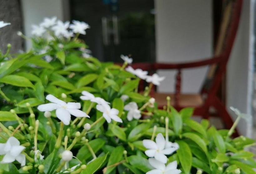 فندق Anna Shanthi Villa