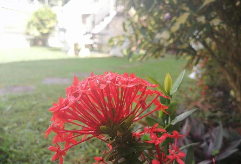 فندق Anna Shanthi Villa