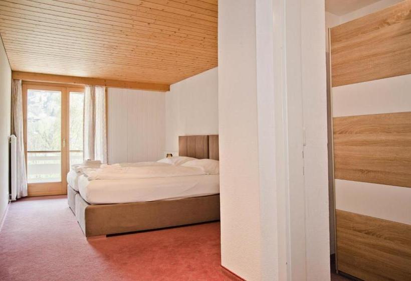 酒店 Apartment Männlichenblick