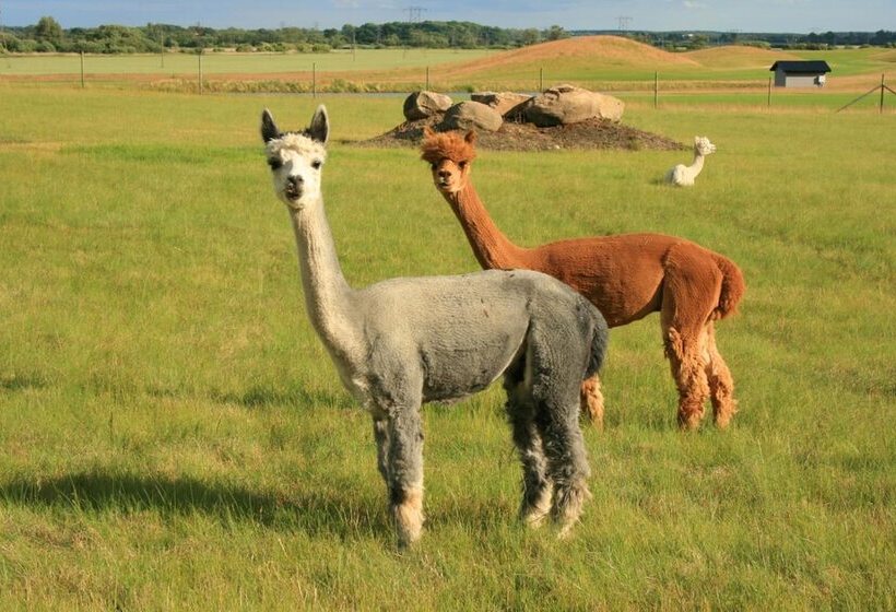 酒店 Araslöv Golf & Resort