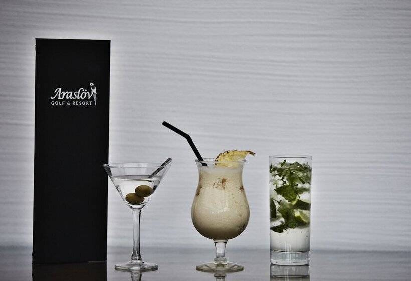 酒店 Araslöv Golf & Resort