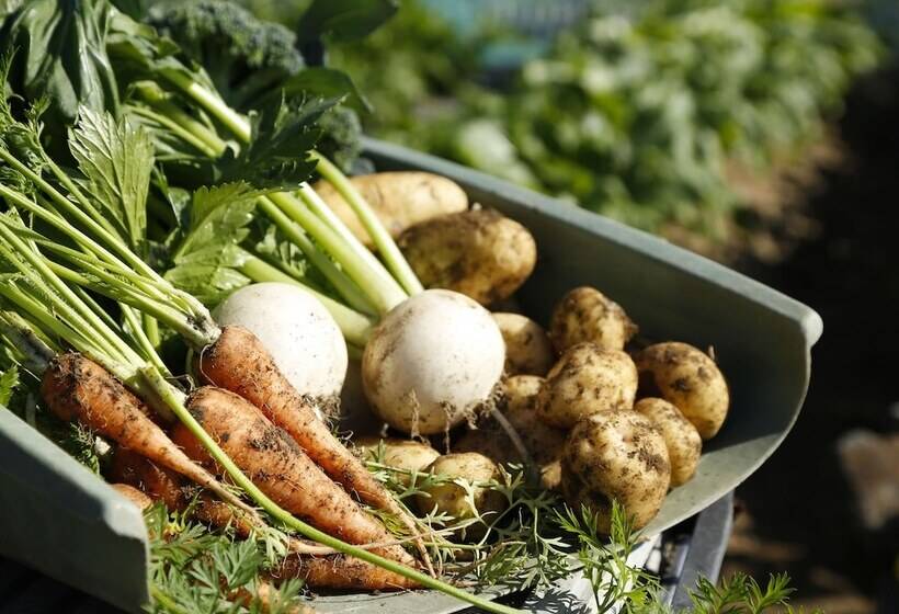 酒店 Bishoku No Kakurega Provence