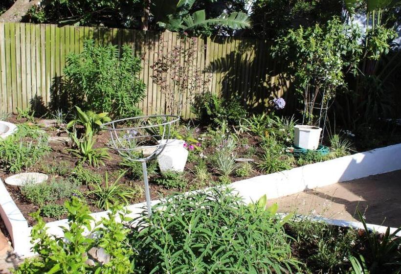 هتل Blue S Guest House