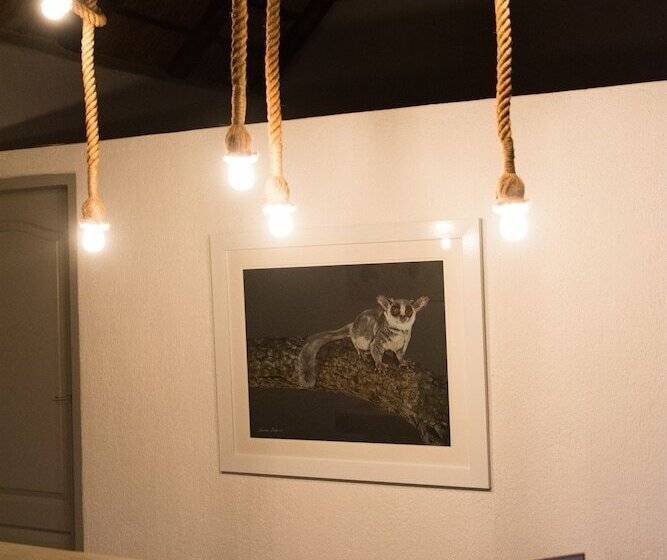 호텔 Bushbaby River Lodge