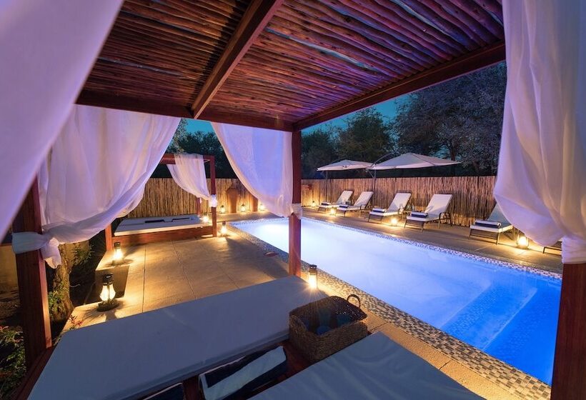 호텔 Bushbaby River Lodge