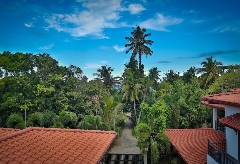 ホテル Bv Residence