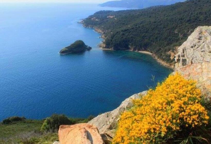 酒店 Camping Village Canapai