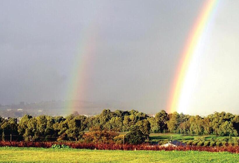 فندق Cana Vineyard Guesthouse