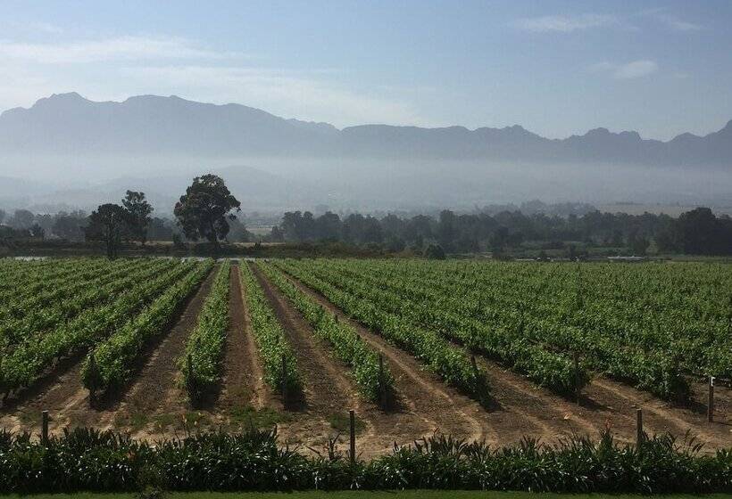 فندق Cana Vineyard Guesthouse