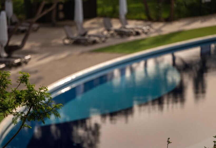 Concorde Luxury Resort & Casino