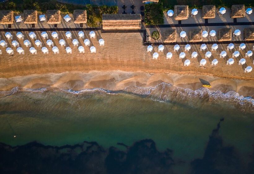 Concorde Luxury Resort & Casino