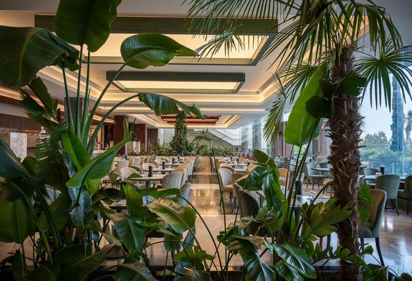 Concorde Luxury Resort & Casino