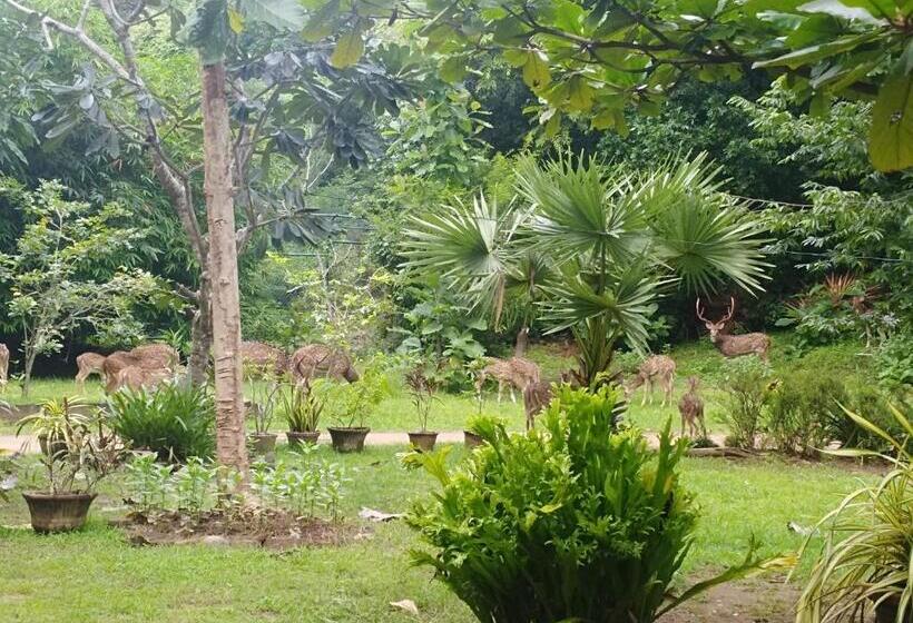 Отель Deer Garden Guest