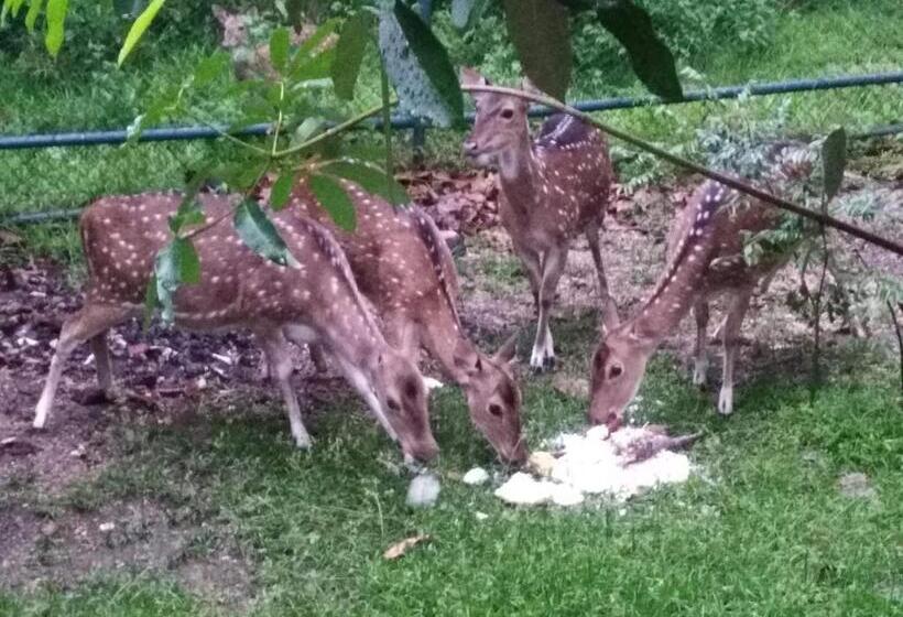 Отель Deer Garden Guest